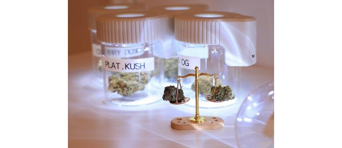 Comparison of Swiss CBD flowers